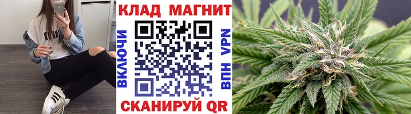 Где продают наркотики Гаджиево Амфетамин  Бошки Шишки  Меф мяу мяу  Гашиш  Галлюциногенные грибы  A-PVP 