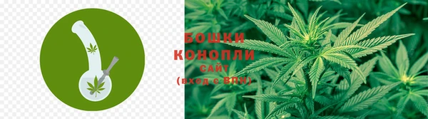 сатива Чердынь