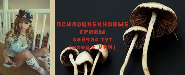 прущая мука Магадан